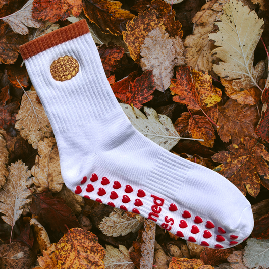 mooncake grip socks